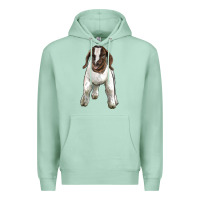 Seafoam baby boer goat Premium Hoodie - LillyAllenDesigns