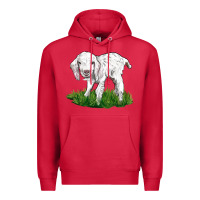 Cardinal Baby Angora Goat Premium Hoodie - LillyAllenDesigns