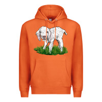 Carrot Baby Angora Goat Premium Hoodie - LillyAllenDesigns