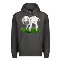 Charcoal Heather Baby Angora Goat Premium Hoodie - LillyAllenDesigns