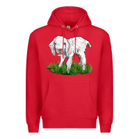 Red Baby Angora Goat Premium Hoodie - LillyAllenDesigns