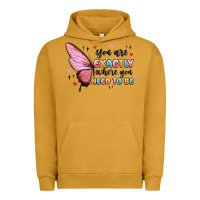 You Sre Exactly Where You Need To Be Urban Hoodie | Teevron