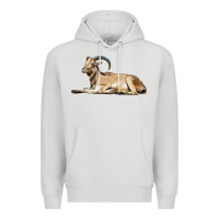 Dove Grey Spanish Goat Premium Hoodie - LillyAllenDesigns