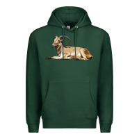 Sports Green Spanish Goat Premium Hoodie - LillyAllenDesigns