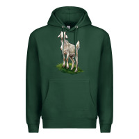 Sports Green Kiko Goat Premium Hoodie - LillyAllenDesigns