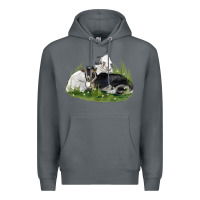 Rock two baby nigerian dwarf goat Premium Hoodie - LillyAllenDesigns