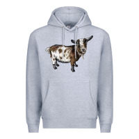 Heather Grey Nigerian Dwarf Goat Premium Hoodie - LillyAllenDesigns