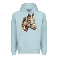 Appaloosa Horse Premium Hoodie | Teevron