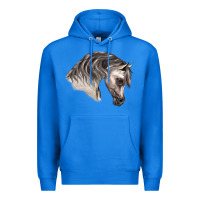True Royal Arabian Horse Premium Hoodie - LillyAllenDesigns