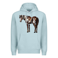 Blue Mist Mustang Horse Premium Hoodie - LillyAllenDesigns