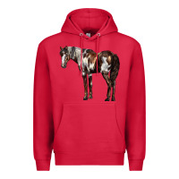Cardinal Mustang Horse Premium Hoodie - LillyAllenDesigns