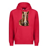 Cardinal Belgian Horse Premium Hoodie - LillyAllenDesigns