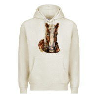 Oatmeal Heather Belgian Horse Premium Hoodie - LillyAllenDesigns