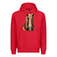 Red Belgian Horse Premium Hoodie - LillyAllenDesigns
