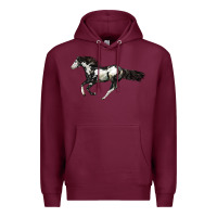American Paint Horse Premium Hoodie | Teevron