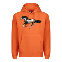 Carrot American Paint Horse Premium Hoodie - LillyAllenDesigns
