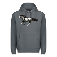 Rock American Paint Horse Premium Hoodie - LillyAllenDesigns