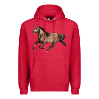 Cardinal Missouri Fox Trotter horse Premium Hoodie - LillyAllenDesigns