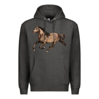 Charcoal Heather Missouri Fox Trotter horse Premium Hoodie - LillyAllenDesigns