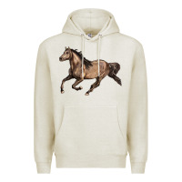 Oatmeal Heather Missouri Fox Trotter horse Premium Hoodie - LillyAllenDesigns