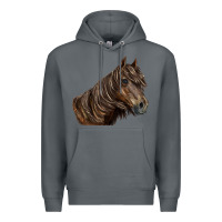 Rock missouri horse Premium Hoodie - LillyAllenDesigns