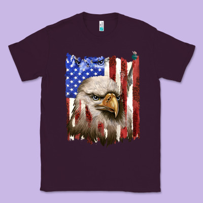 Classic Tee usa flag with eagle head
