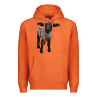 Carrot suffolk baby sheep Premium Hoodie - LillyAllenDesigns