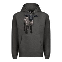 Charcoal Heather suffolk baby sheep Premium Hoodie - LillyAllenDesigns