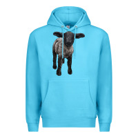 Ocean Blue suffolk baby sheep Premium Hoodie - LillyAllenDesigns