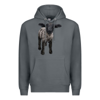 Rock suffolk baby sheep Premium Hoodie - LillyAllenDesigns