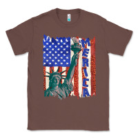 Chestnut usa flag with statue of liberty Classic Tee - texasbilliewilder
