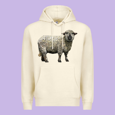 Hampshire Sheep Premium Hoodie Designed By Lillyallendesigns