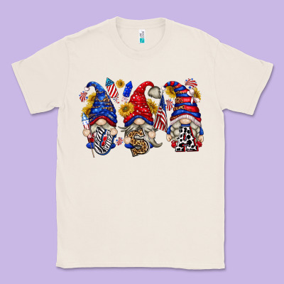 Classic Tee usa with gnome billie wilder