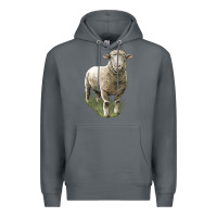 Rock dorset sheep Premium Hoodie - LillyAllenDesigns