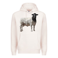 Pale Pink dorper sheep Premium Hoodie - LillyAllenDesigns