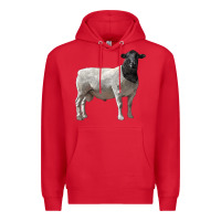 Red dorper sheep Premium Hoodie - LillyAllenDesigns