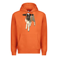 Carrot dorper baby sheep Premium Hoodie - LillyAllenDesigns