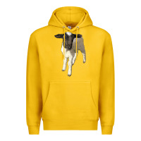 Lemon dorper baby sheep Premium Hoodie - LillyAllenDesigns