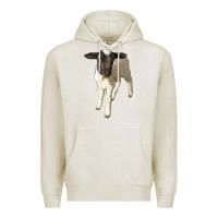 Oatmeal Heather dorper baby sheep Premium Hoodie - LillyAllenDesigns