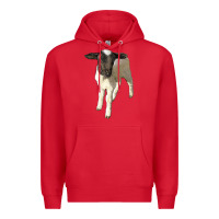 Red dorper baby sheep Premium Hoodie - LillyAllenDesigns