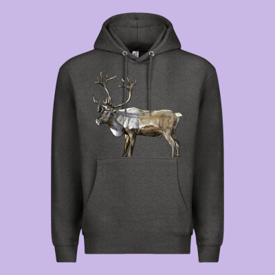 Reindeer Buck Deer Premium Hoodie Designed By Lillyallendesigns
