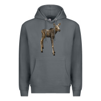 Rock moose fawn deer Premium Hoodie - LillyAllenDesigns