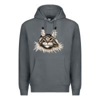 Rock Maine Coon Cat Face Premium Hoodie - LillyAllenDesigns