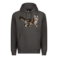 Smoke Maine Coon Cat Premium Hoodie - LillyAllenDesigns