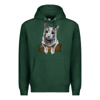 Sports Green Russian Blue Cat Face Premium Hoodie - LillyAllenDesigns