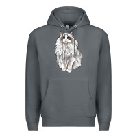 Rock Ragdoll Cat Premium Hoodie - LillyAllenDesigns