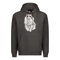 Smoke Ragdoll Cat Premium Hoodie - LillyAllenDesigns