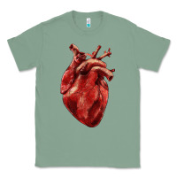 Sage Anatomical heart Classic Tee - RanaPortraitStore