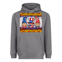 Storm usa gnome Heavyweight Hoodie - HRA Design Shop