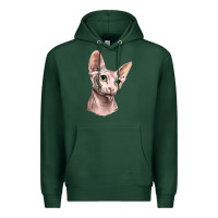 Sports Green Sphynx Cat Premium Hoodie - LillyAllenDesigns